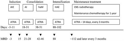 Treatment Outcome and the Genetic Characteristics of Acute Promyelocytic Leukemia in Children in Poland From 2005 to 2018